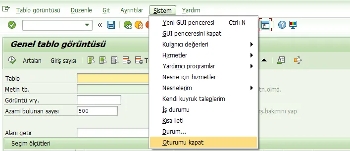 SAP Oturumu Kapatma