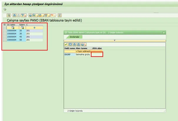 SAP Türkçe Döküman