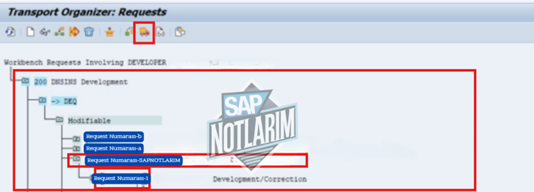 SAP Türkçe Döküman