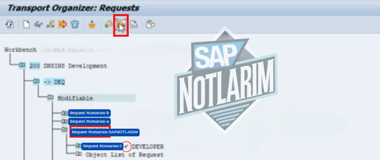 SAP Türkçe Döküman