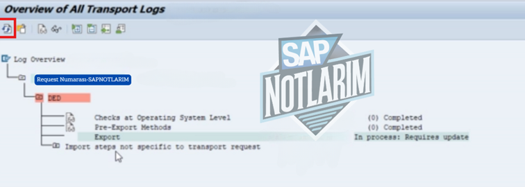 SAP Türkçe Döküman