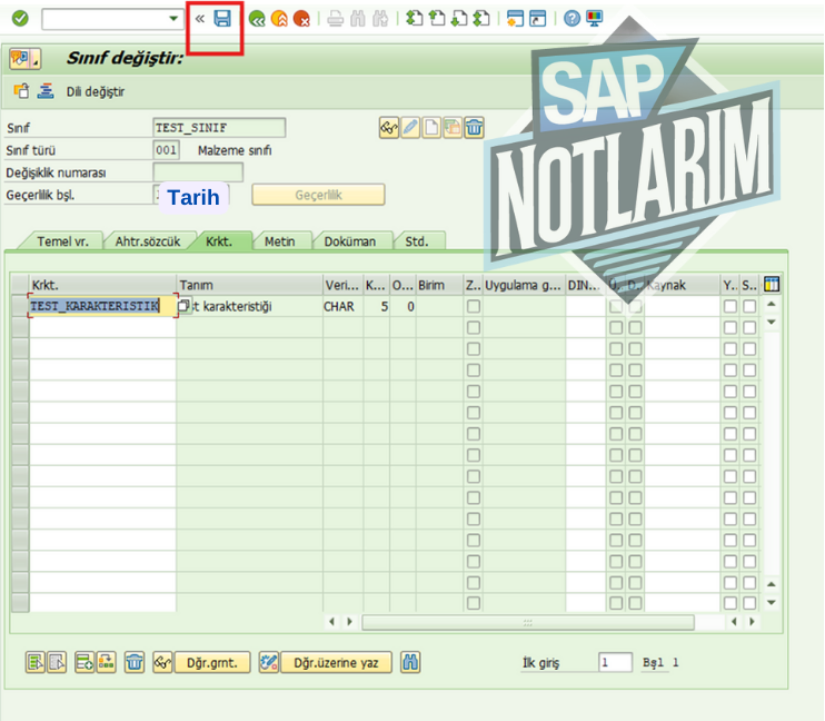 Sınıflara karakteristik atama sap